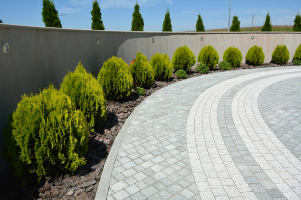 Best Professional Driveway Pavers  in Monona, WI